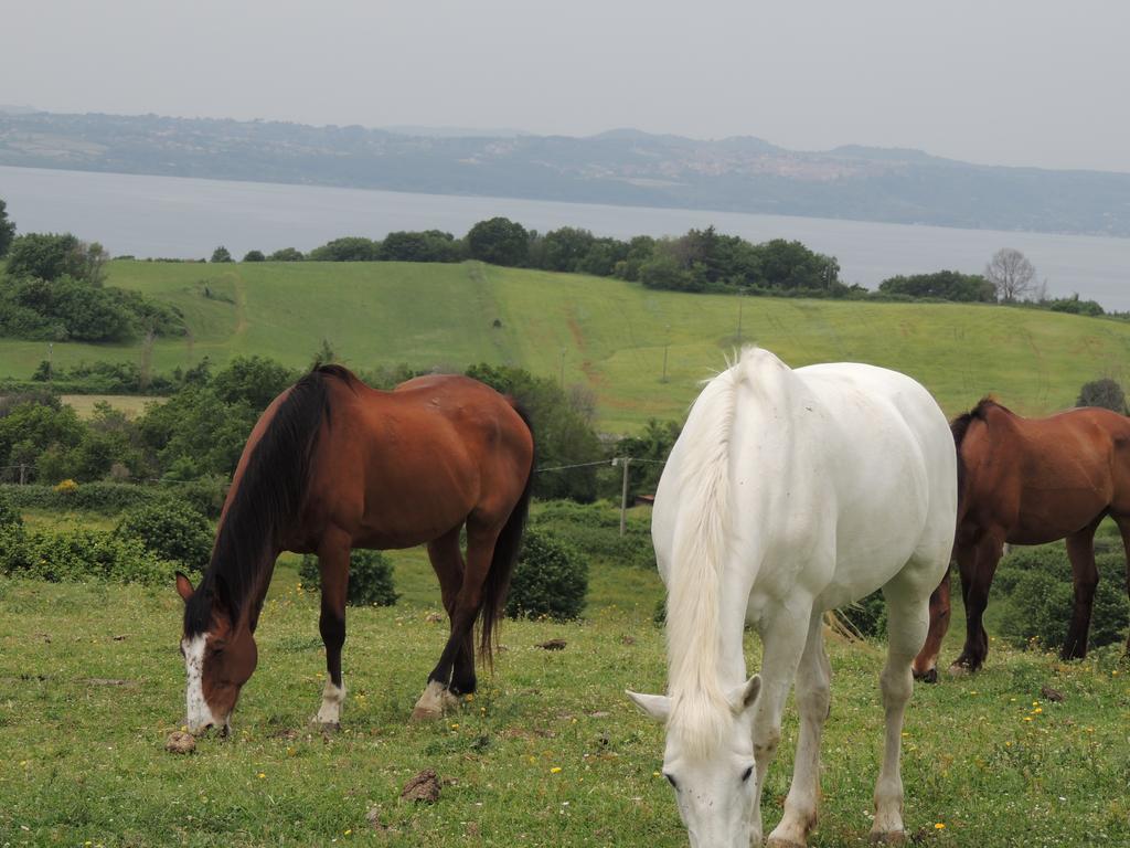 Country Relais I Due Laghi Villa Anguillara Sabazia Kültér fotó