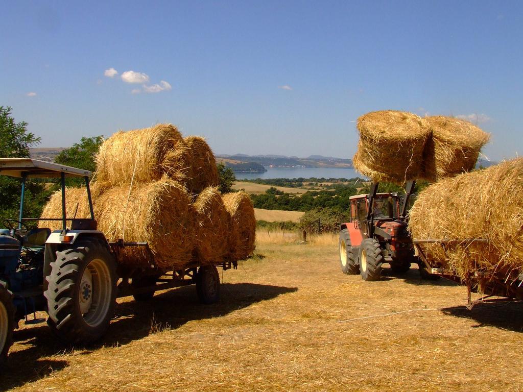 Country Relais I Due Laghi Villa Anguillara Sabazia Kültér fotó